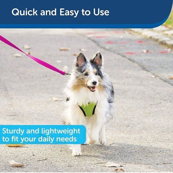 PetSafe Medium Leash, 3/4" × 4', Raspberry Pink NWT - Picture 4 of 6